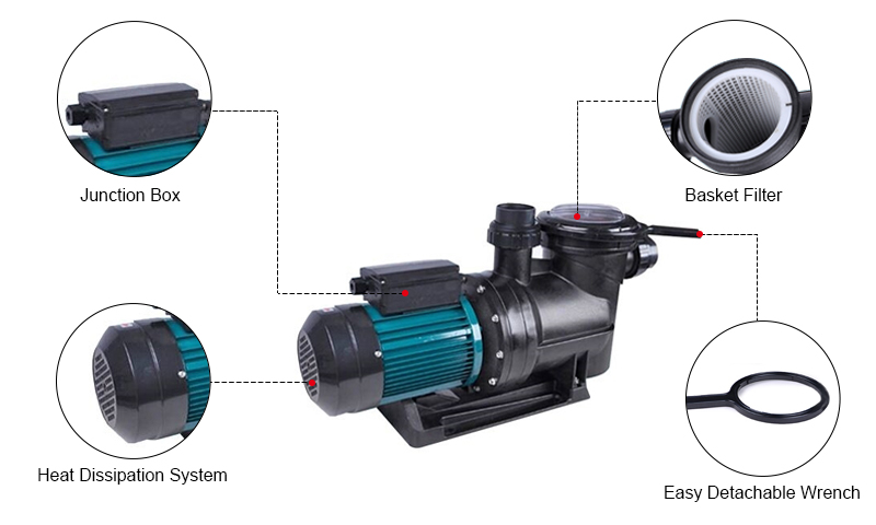 Pool Pump Details