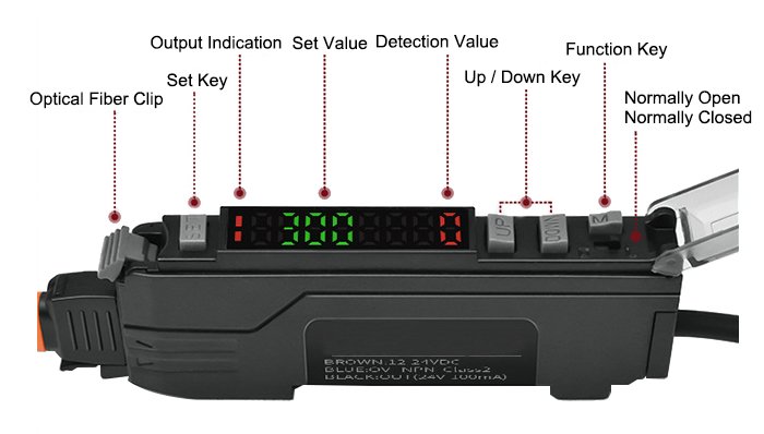 Laser fiber optic amplifier detail