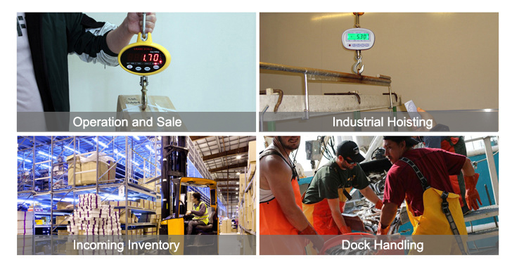 Mini crane scale application