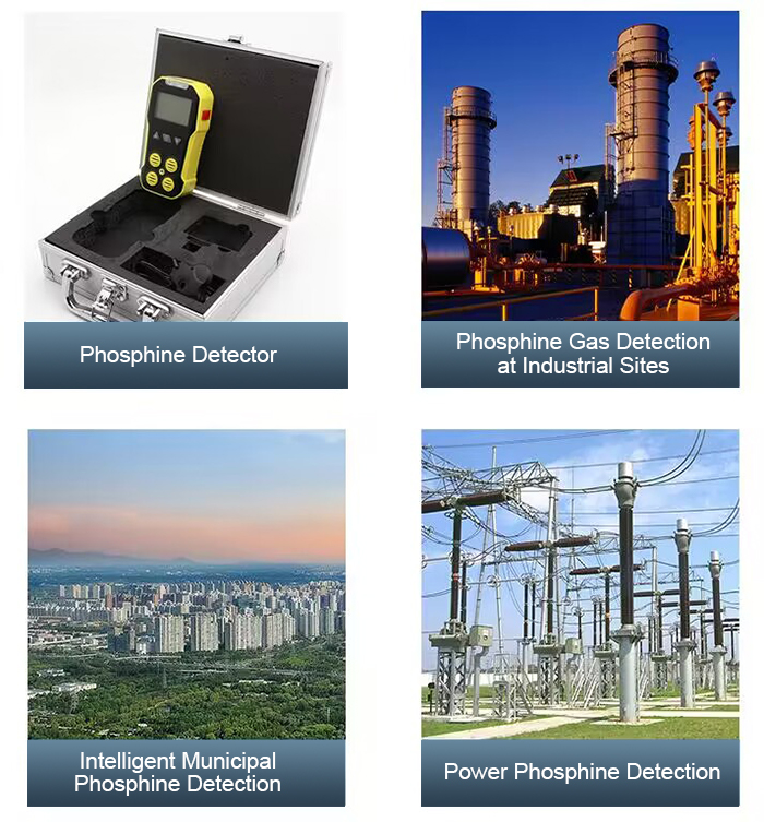 PH3  gas sensor application