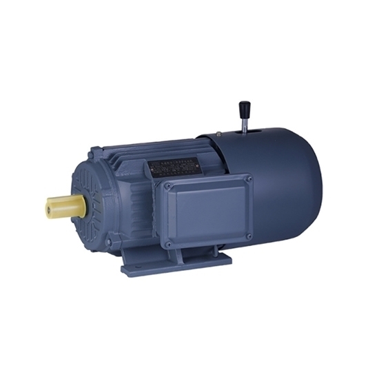 3 hp (2.2kW) Brake Motor, 3 Phase, 2/4 Pole