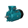 Picture of 5.5hp (4kW) Explosion Proof Motor, 380V, 2P/ 3P/ 4P