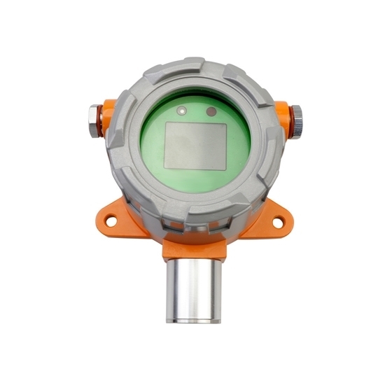 Explosion-Proof Methane (CH4) Gas Detector, 0-100/1000ppm