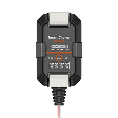 1A Smart Battery Charger, 6V/12V