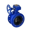 Picture of Double Flanged Butterfly Valve, 2"/3"/4"/6"/8"/10"/12"