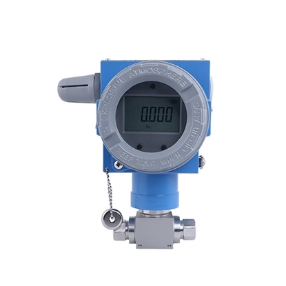 Wireless Differential Pressure Transmitter, LCD Display, IP66